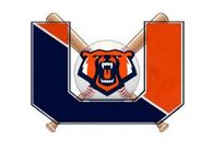 union-bear-1_orig